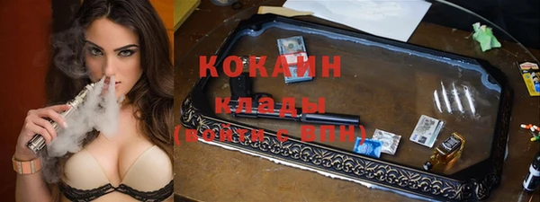 spice Алзамай