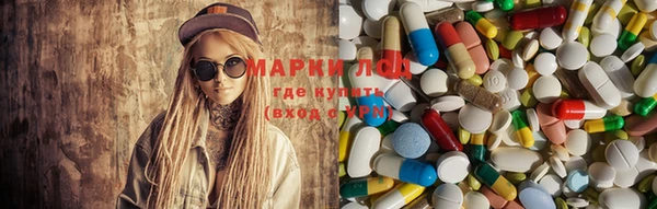 spice Алзамай