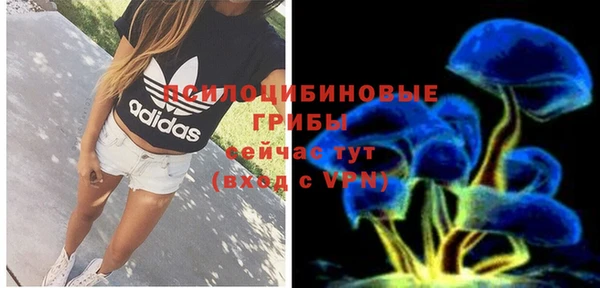 spice Алзамай